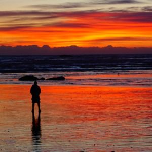 Meet your Posher, Marsha